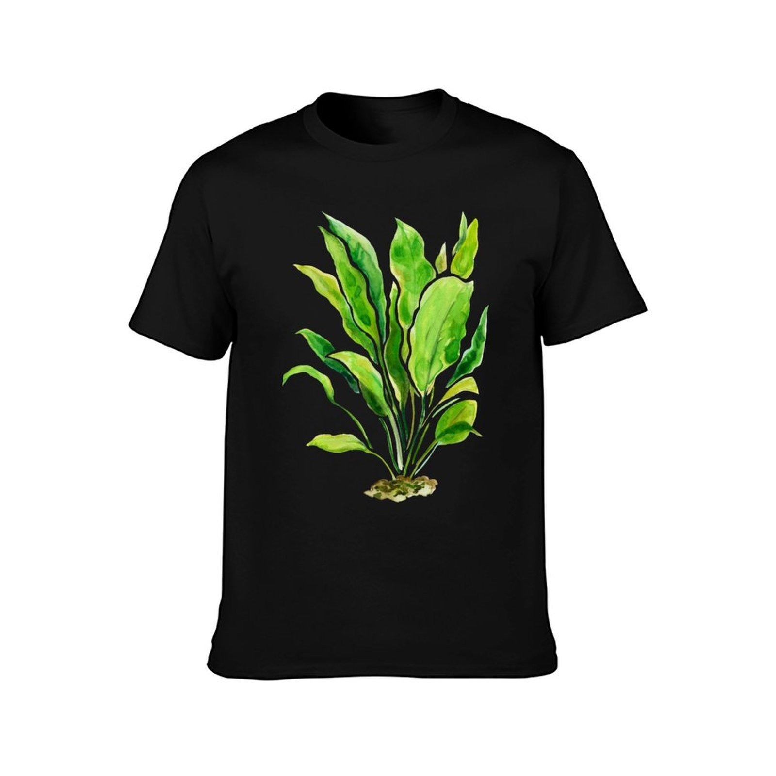 Aquarium Plants Series Amazon  - đánh giá và giá Planted Aquarium Basics