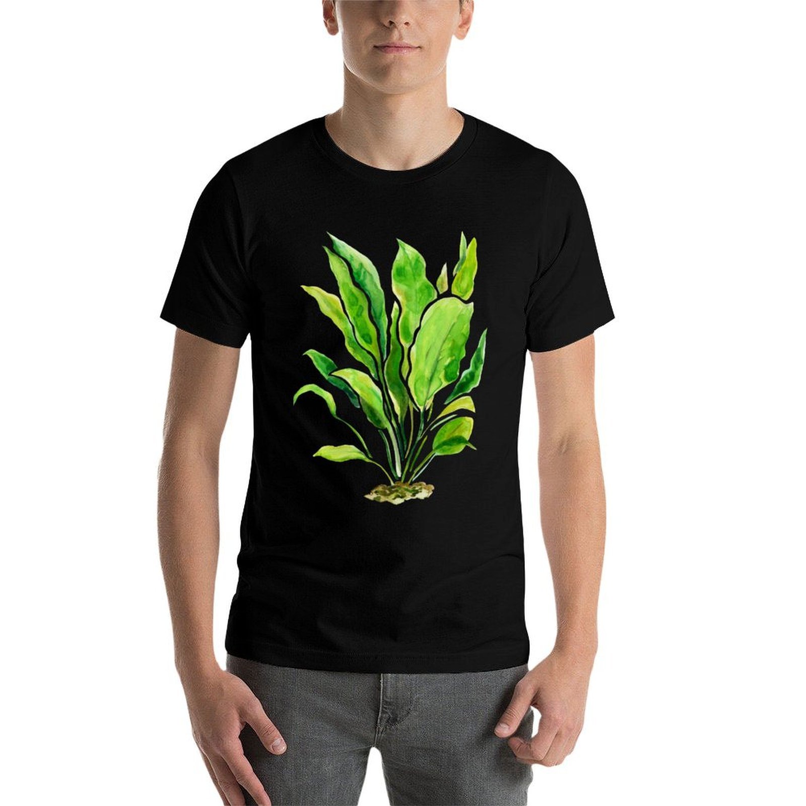 Aquarium Plants Series Amazon  - đánh giá và giá Planted Aquarium Basics