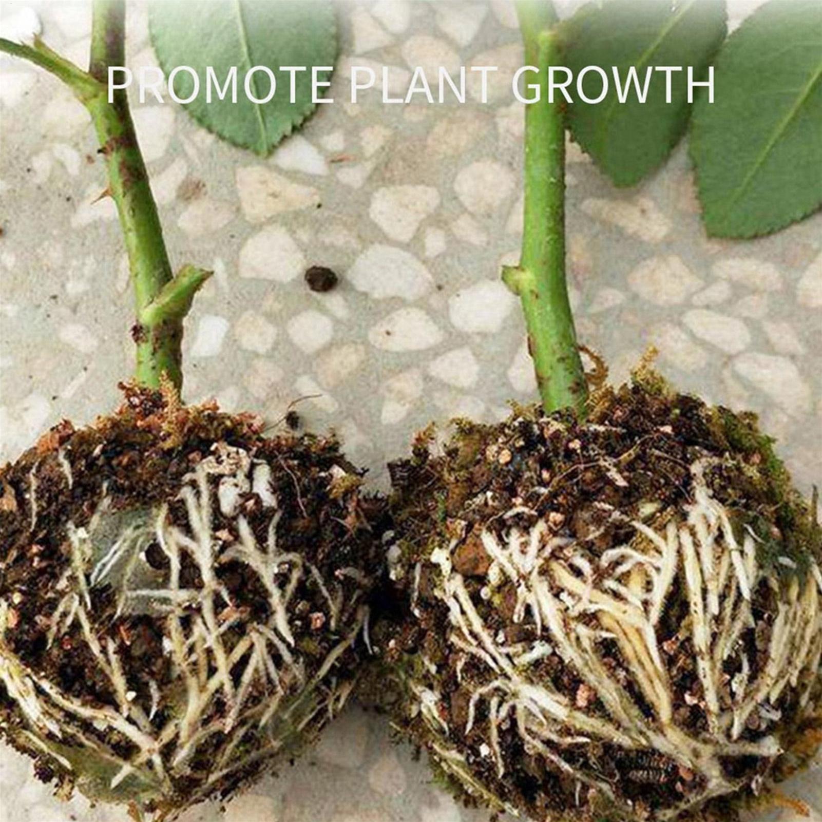 Propagation Ball Air Layering  - đánh giá và giá Aquasoil Substrate