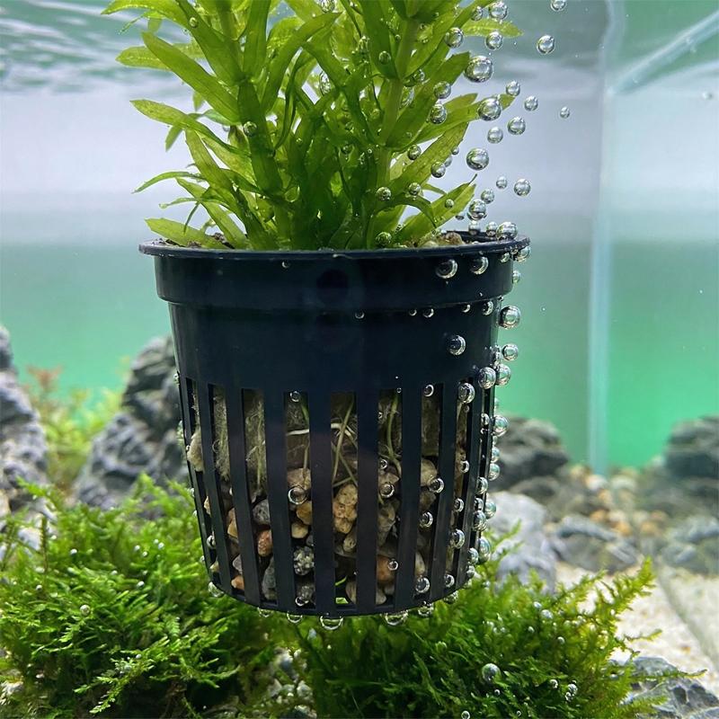 Aquarium Planter Cups for Fish - đánh giá và giá Aquarium Plant Design