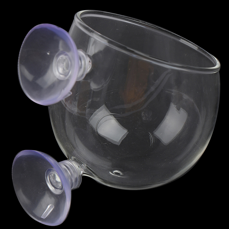 ^Fish Tank Mini Crystal Glass  - đánh giá và giá Planted Aquarium Mini