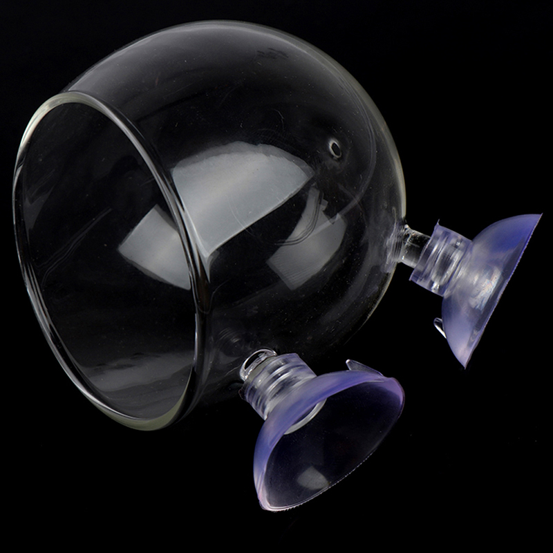 ^Fish Tank Mini Crystal Glass  - đánh giá và giá Planted Aquarium Mini