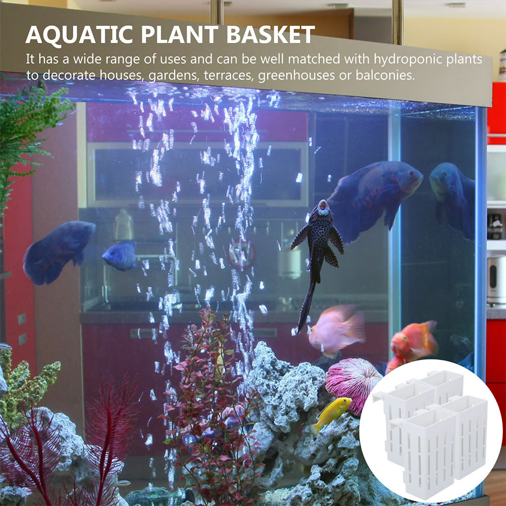 4Pcs Aquarium Plant Holder Aqu - đánh giá và giá Aquarium Plant Design