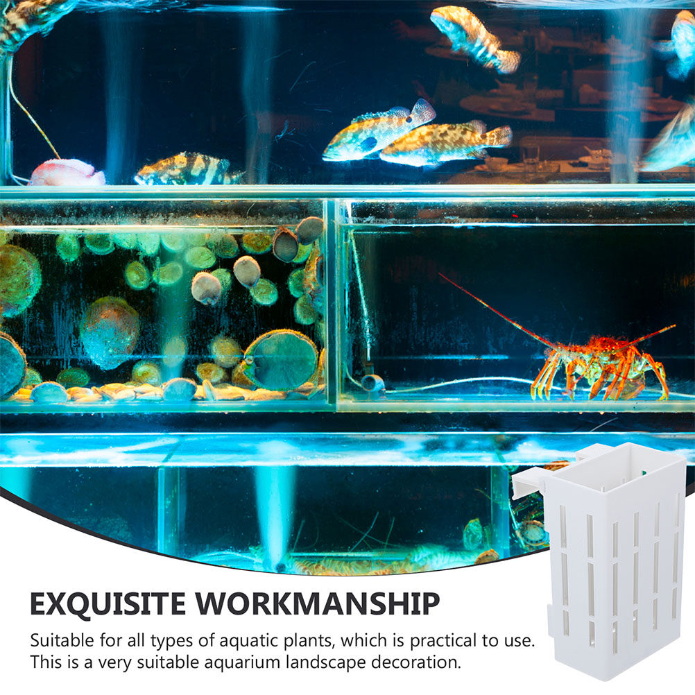 4Pcs Aquarium Plant Holder Aqu - đánh giá và giá Aquarium Plant Design
